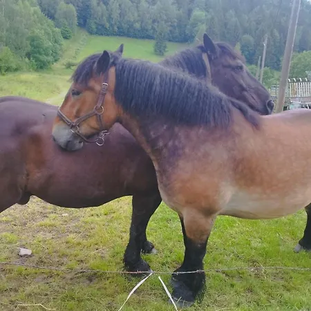 Rancho U Bolka * Мендзыгуже