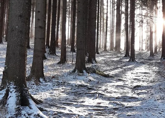 Фермерский дом Rancho U Bolka