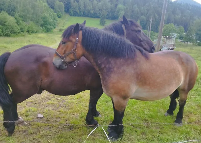 Rancho U Bolka * Мендзыгуже